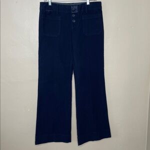 AMERICAN EAGLE Laidback Trouser Super Low Rise Easy Stretch Flare Button Fly 10